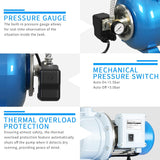 FOTING 1.5HP Shallow Well Jet Pump 1340GPH — Stainless Steel, Blue