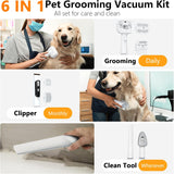 FOTING Dog Grooming Vacuum 6-in-1 — 10000Pa, 2.1L Dust Cup