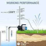 FOTING 1HP Shallow Well Jet Pump 865GPH — Stainless Steel, Blue
