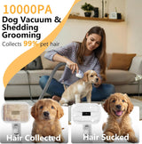 FOTING Dog Grooming Vacuum 6-in-1 — 10000Pa, 2.1L Dust Cup
