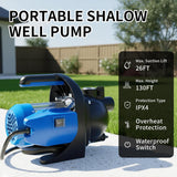 FOTING 1HP Shallow Well Jet Pump 865GPH — Stainless Steel, Blue